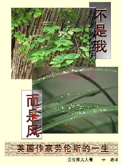 《不是我　而是风》英国作家劳伦斯的一生(pdf电子书下载)[s2402]