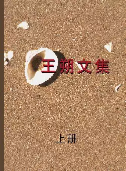 《王朔文集》(pdf电子书下载)[s2605]