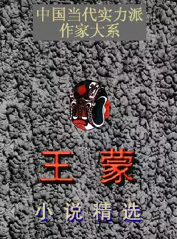 中国当代实力派作家《王蒙小说精选》(pdf电子书下载)[s2969]