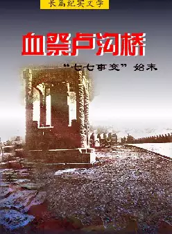 《血祭卢沟桥》——七七事变(pdf电子书下载)[s2979]