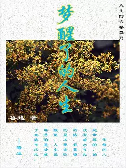 鲁迅《梦醒了的人生》(pdf电子书下载)[s2990]