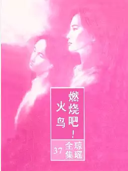 琼瑶《燃烧吧!火鸟》(pdf电子书下载)[s2741]