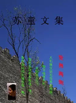 《苏童文集》(pdf电子书下载)[s2796]