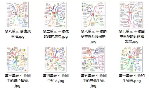 初中生物思维导图（8张）