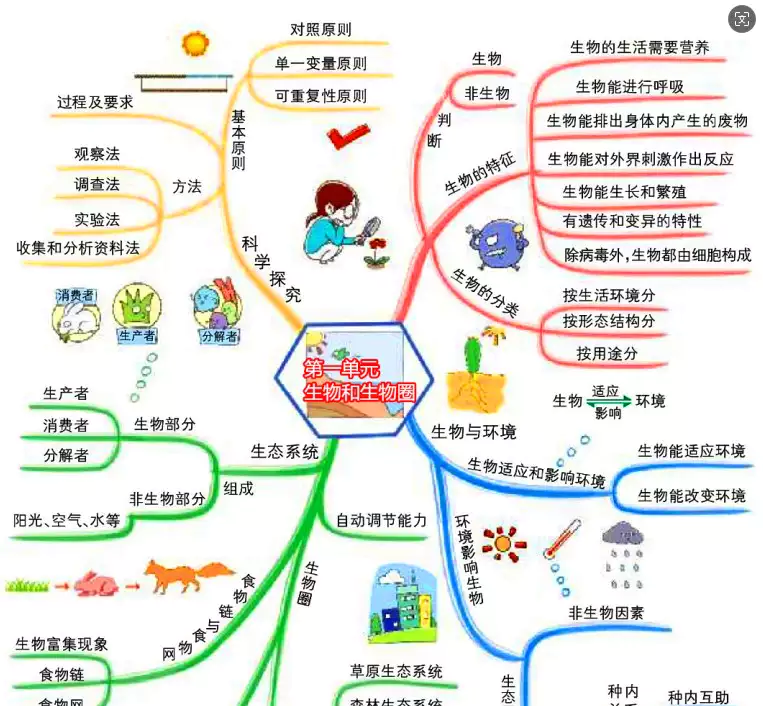 初中生物思维导图（8张）