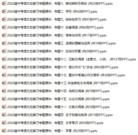 2020届中考语文总复习专题课件