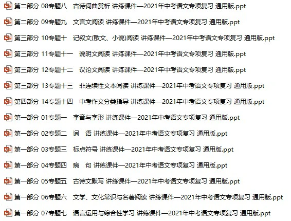 2021年中考语文专项复习讲练课件