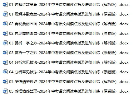 2024年中考语文阅读点拨及进阶训练-古诗文阅读