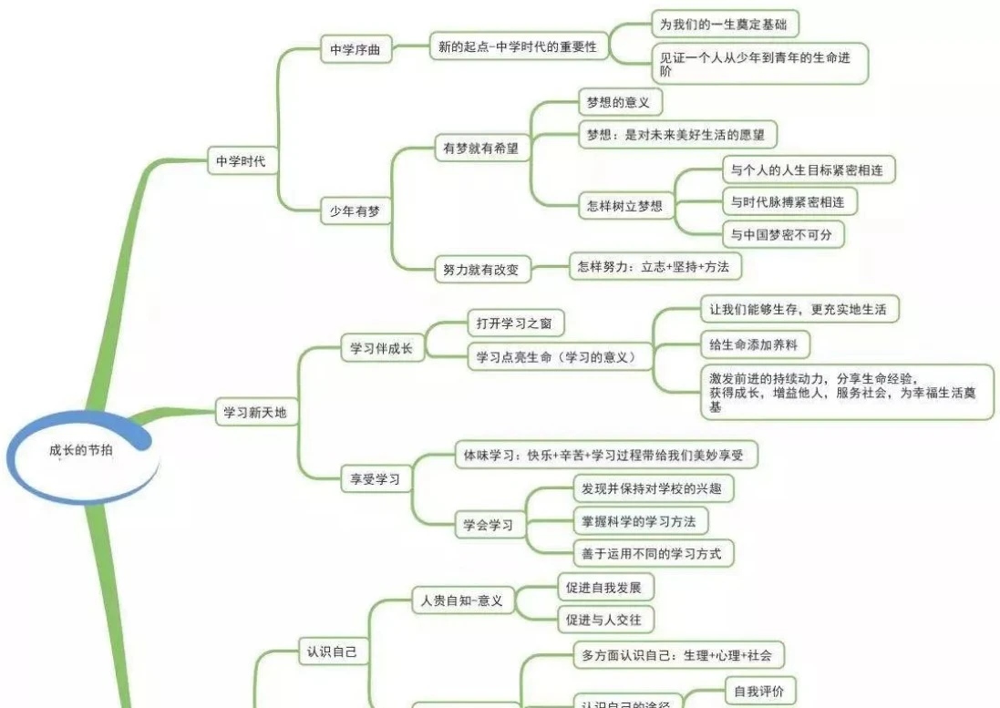 初中道德与法治-思维导图