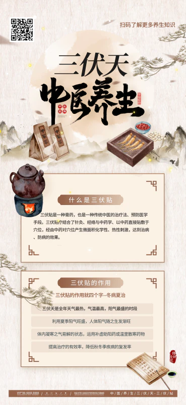中国风三伏天中医养生三伏贴海报设计psd源文件