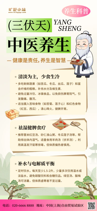 简约三伏天中医养生科普宣传海报设计psd源文件
