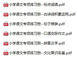小学语文《小学语文专项练习册》