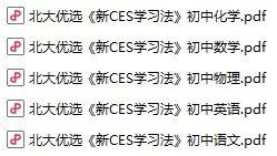初中各科《新CES学习法》pdf格式电子版