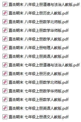 初中各科《直击期末》pdf格式电子版