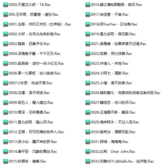 调音师定制无损抖音最新歌曲(车载音乐FLAC格式)