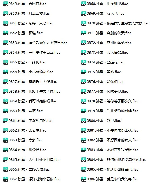 调音师定制无损发烧人声(车载音乐FLAC格式)