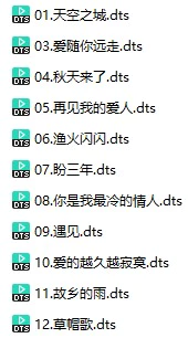 江智民《此时此刻》(DTS格式环绕多声道无损音乐)
