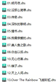 王子月《遇见》(DTS格式环绕多声道无损音乐)