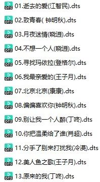 完美男声《HIFI试音极品》(DTS格式环绕多声道无损音乐)