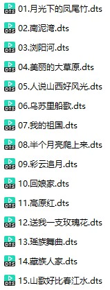 乐曲《民歌红电子琴-CD1》(DTS格式环绕多声道无损音乐)
