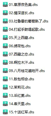 乐曲《民歌红电子琴-CD2》(DTS格式环绕多声道无损音乐)