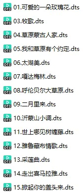 乐曲《民歌红电子琴-CD3》(DTS格式环绕多声道无损音乐)