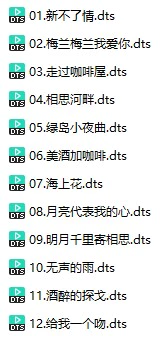 黄鹤《萨克斯》(DTS格式环绕多声道无损音乐)