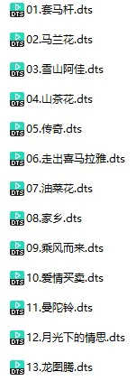 龚玥《传奇之声Ⅰ》(DTS格式环绕多声道无损音乐)