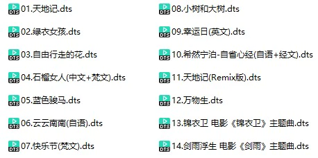 萨顶顶《天地合》(DTS格式环绕多声道无损音乐)