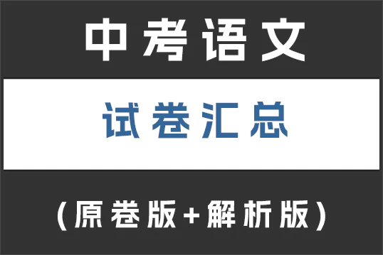 中考语文试卷汇总(持续更新)