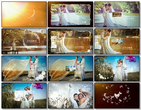 史诗复古古典浪漫婚礼相册视频标题片头幻灯片-回忆  相册 展示 edius模板-B02997
