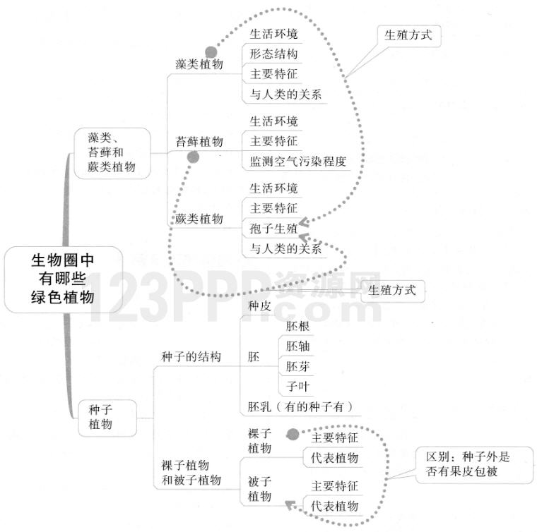 第一章  生物圈中有哪些绿色植物(思维导图|教材知识全解|经典例题全解|易错易混全解)