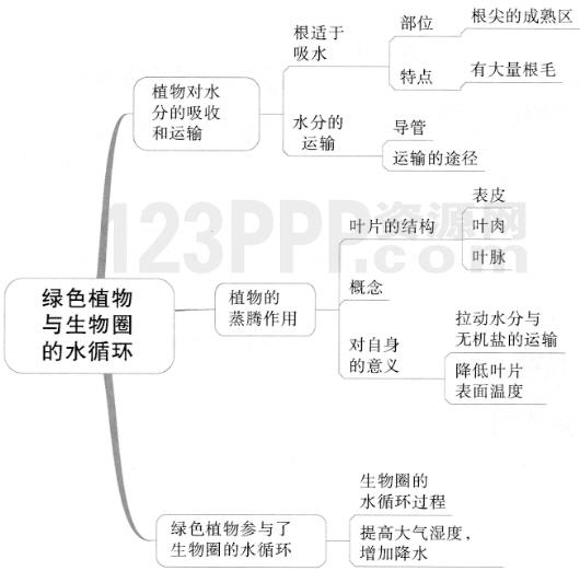 第三章　绿色植物与生物圈的水循环(思维导图|教材知识全解|经典例题全解|易错易混全解)