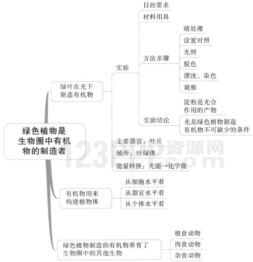 第四章　绿色植物是生物圈中有机物的制造者(思维导图|教材知识全解|经典例题全解|易错易混全解)