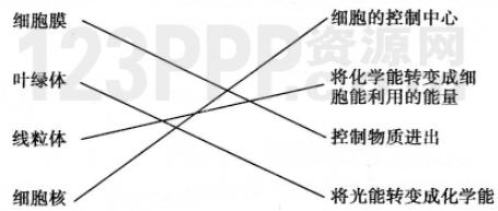 第一章　细胞是生命活动的基本单位教材练习答案解析