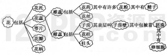 第二章　被子植物的一生 教材练习答案解析