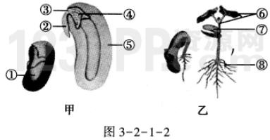 第2章1节　种子的萌发_全练试题[附答案解析]
