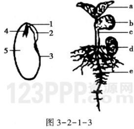 第2章1节　种子的萌发_全练试题[附答案解析]
