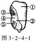 第3单元1、2章检测_全练试题[附答案解析]