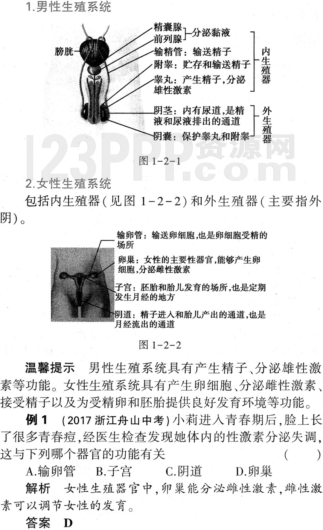 初一生物(人教版)七年级下册第1章第2节《人的生殖》教材全解