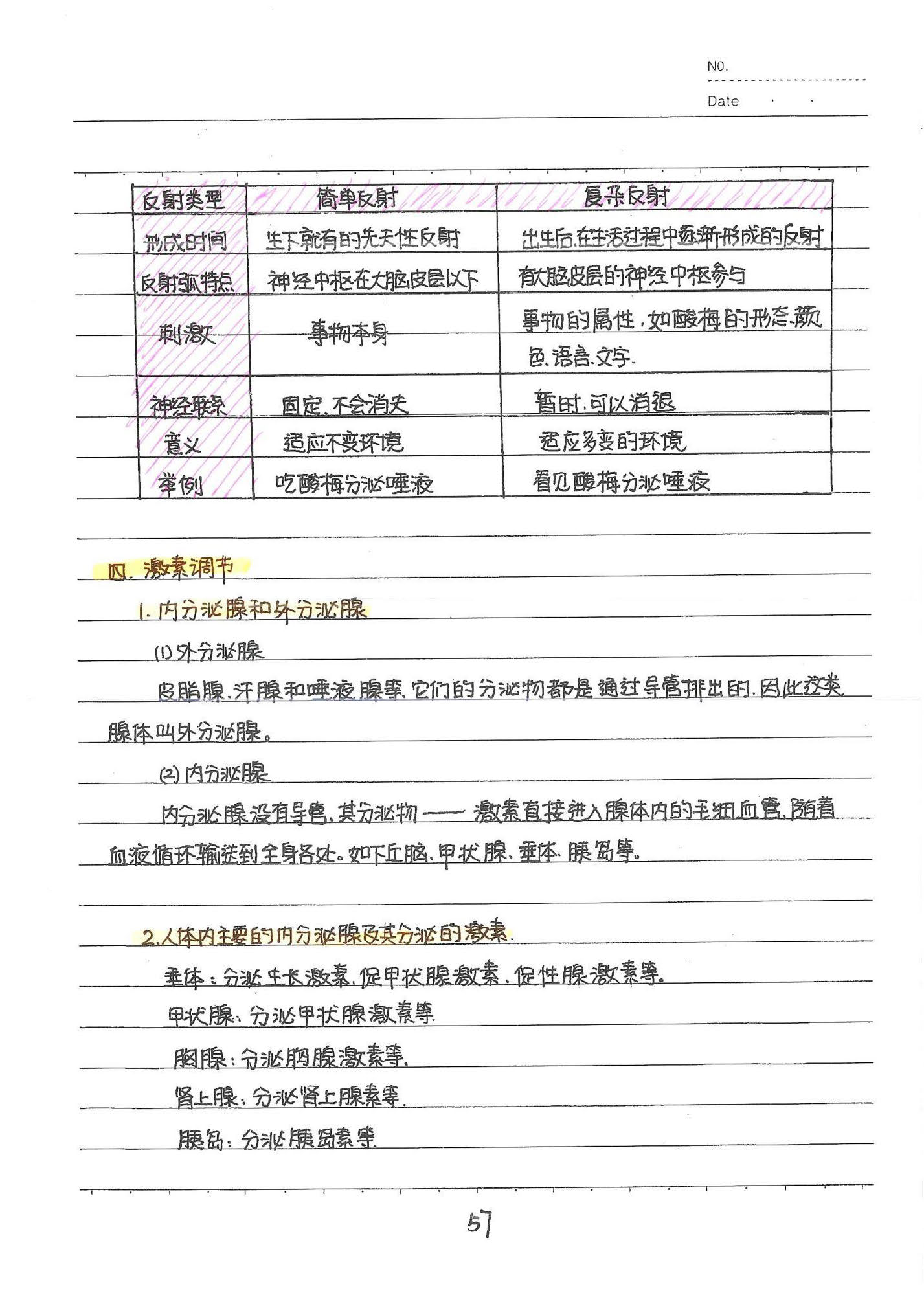 初中生物手写笔记（154页）-中考状元手写笔记下载