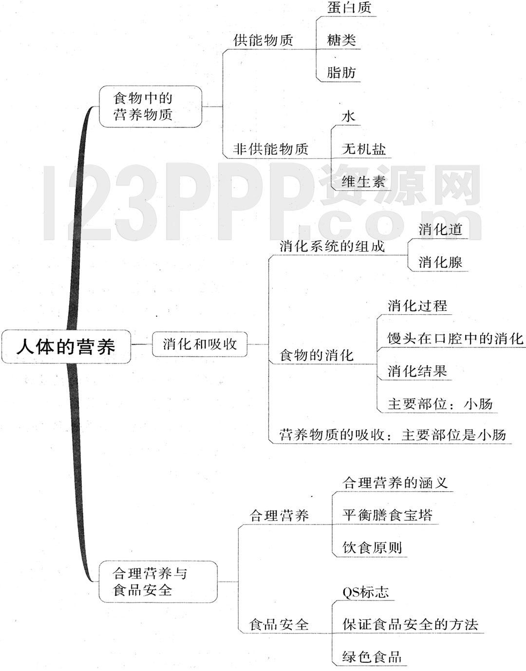 初一生物(人教版)七年级下册【第2章 人体的营养】思维导图及教材练习答案