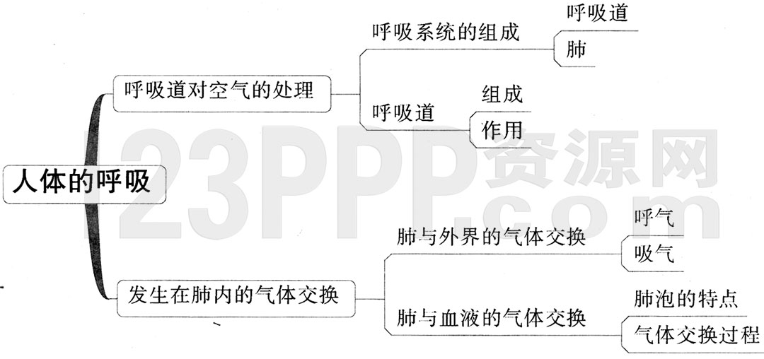 初一生物(人教版)七年级下册【第3章 人体的呼吸】思维导图及教材练习答案