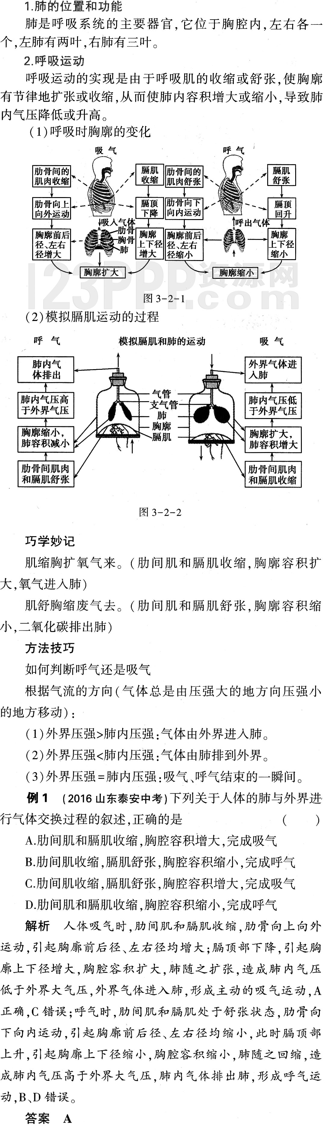 初一生物(人教版)七年级下册第3章第2节《发生在肺内的气体交换》教材全解