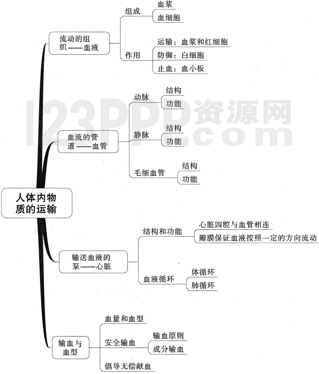 初一生物(人教版)七年级下册【第4章 人体内物质的运输】思维导图及教材练习答案