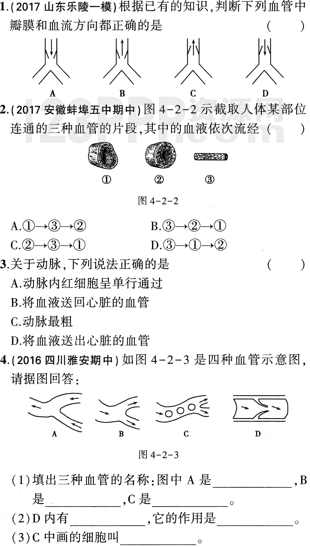 初一生物(人教版)七年级下册第4章第2节《血流的管道_血管》全练试题