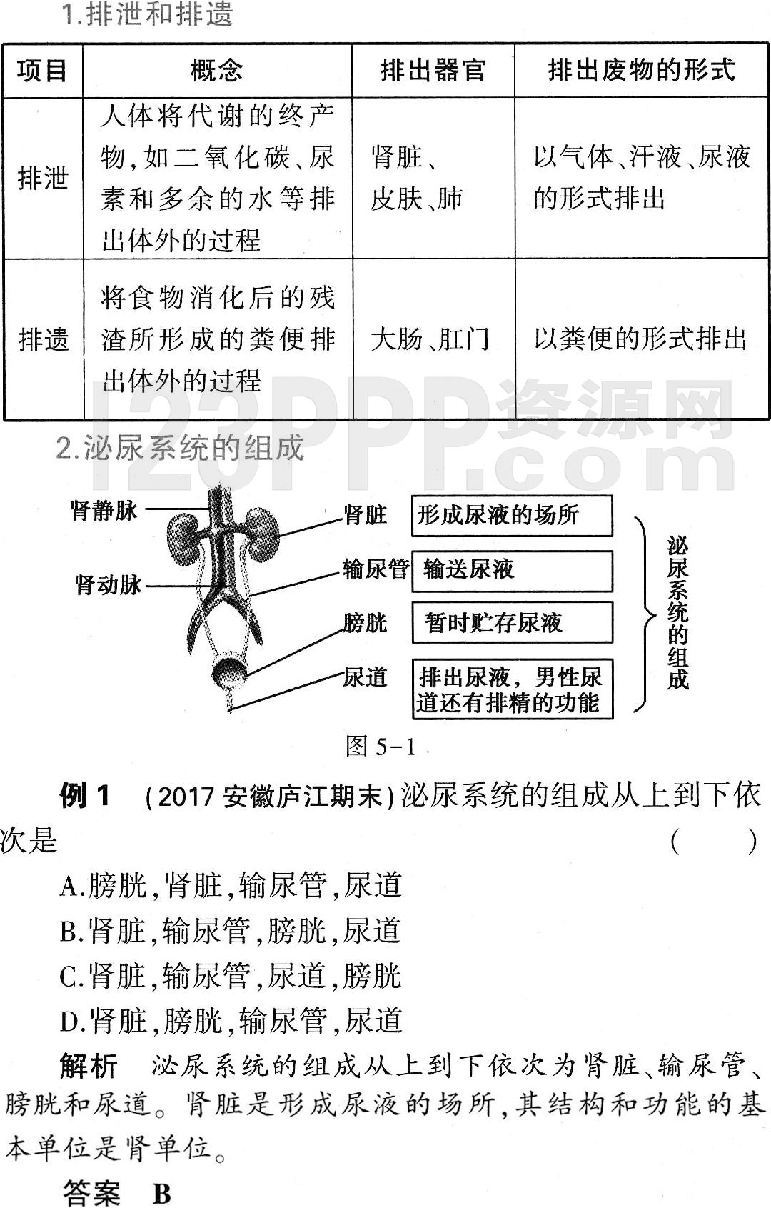 初一生物(人教版)七年级下册第5章《人体内废物的排出》教材全解