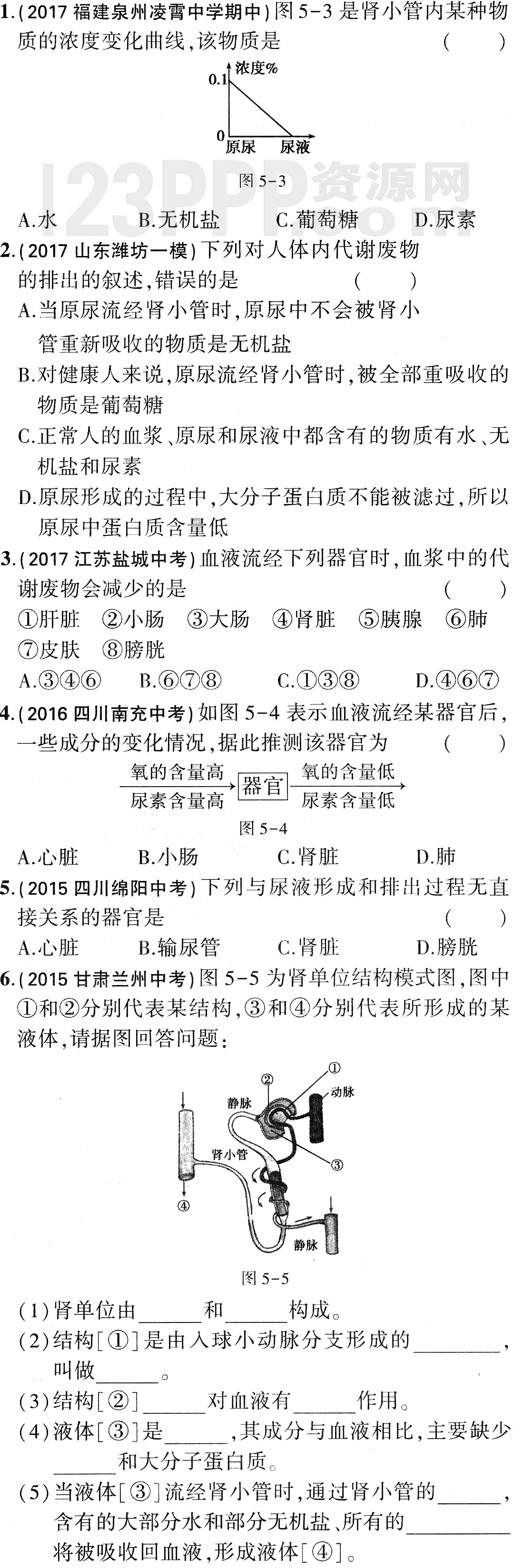 初一生物(人教版)七年级下册第5章《人体内废物的排出》 全练试题