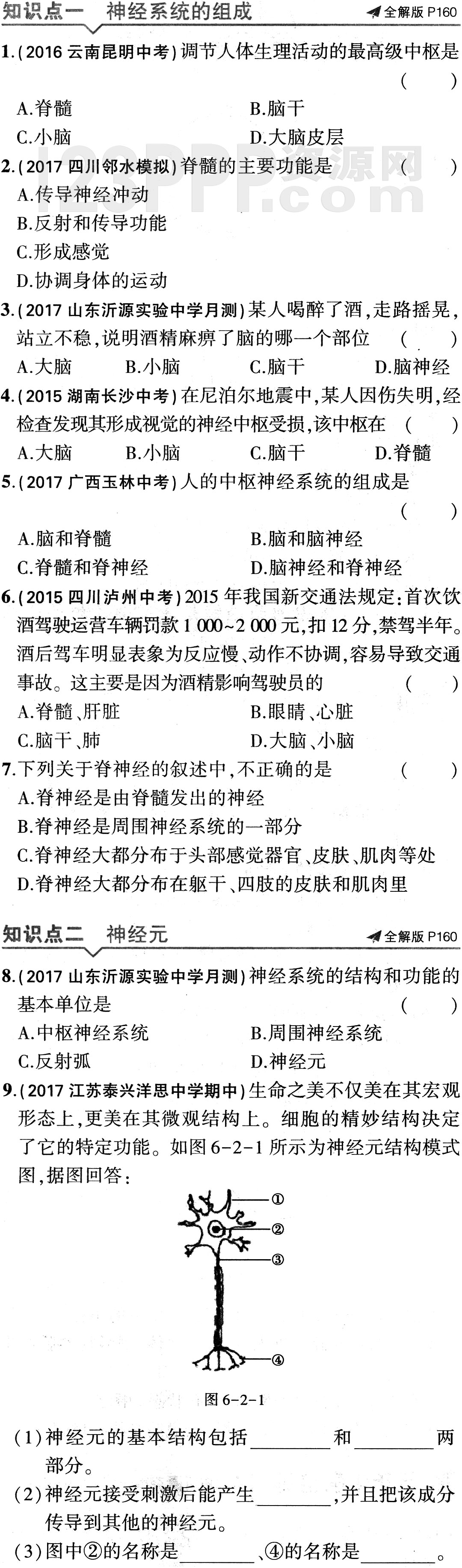 初一生物(人教版)七年级下册第6章第2节《神经系统的组成》全练试题