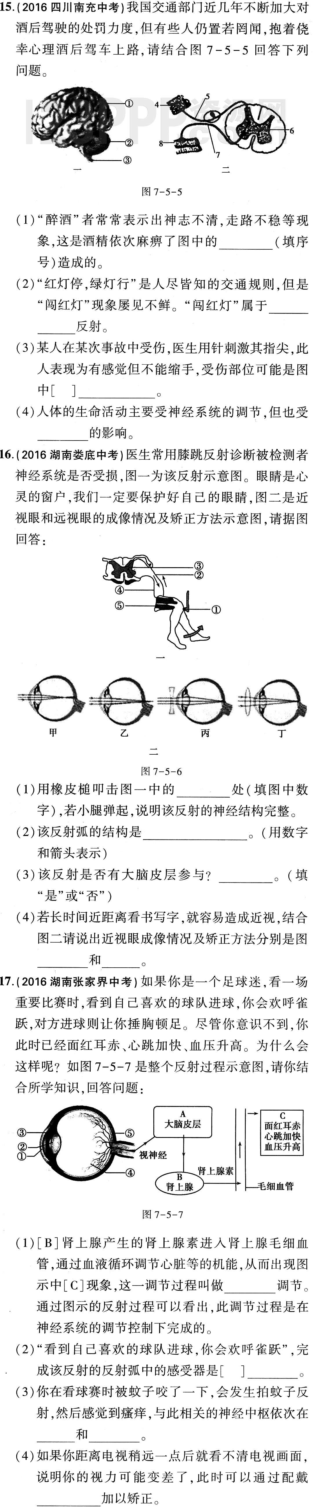 初一生物(人教版)七年级下册专项综合全练2